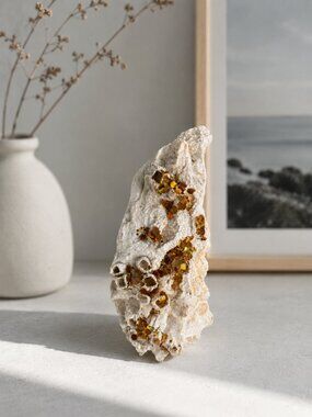 Hand-Painted Decorative Seashell | Mixed Media Coastal Decor | One-of-a-Kind
